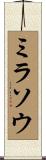 ミラソウ Scroll