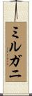 ミルガニ Scroll
