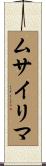 ムサイリマ Scroll