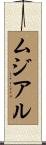 ムジアル Scroll
