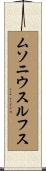 ムソニウスルフス Scroll