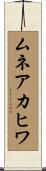ムネアカヒワ Scroll