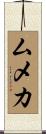 ムメカ Scroll