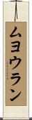 ムヨウラン Scroll