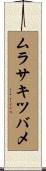 ムラサキツバメ Scroll
