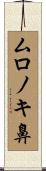 ムロノキ鼻 Scroll