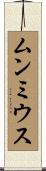 ムンミウス Scroll