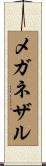 メガネザル Scroll
