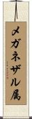 メガネザル属 Scroll