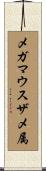 メガマウスザメ属 Scroll