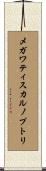 メガワティスカルノプトリ Scroll