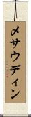 メサウディン Scroll