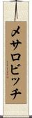 メサロビッチ Scroll