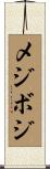 メジボジ Scroll