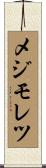 メジモレツ Scroll