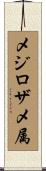 メジロザメ属 Scroll