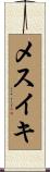 メスイキ Scroll