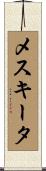 メスキータ Scroll