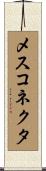 メスコネクタ Scroll