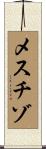 メスチゾ Scroll