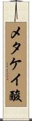 メタケイ酸 Scroll