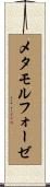 メタモルフォーゼ Scroll