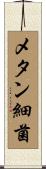 メタン細菌 Scroll