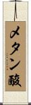 メタン酸 Scroll