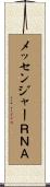メッセンジャーＲＮＡ Scroll