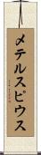 メテルスピウス Scroll
