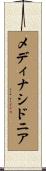 メディナシドニア Scroll