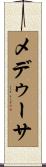 メデゥーサ Scroll