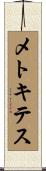メトキテス Scroll