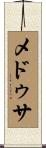 メドゥサ Scroll