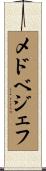 メドベジェフ Scroll