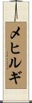 メヒルギ Scroll