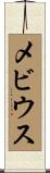 メビウス Scroll