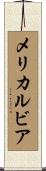 メリカルビア Scroll