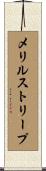 メリルストリープ Scroll