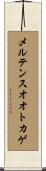 メルテンスオオトカゲ Scroll