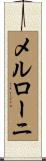 メルローニ Scroll