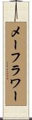 メーフラワー Scroll