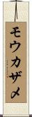モウカザメ Scroll