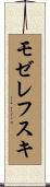 モゼレフスキ Scroll