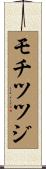 モチツツジ Scroll