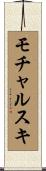モチャルスキ Scroll