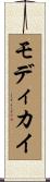 モディカイ Scroll