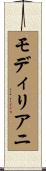 モディリアニ Scroll