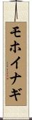 モホイナギ Scroll