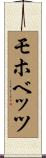 モホベッツ Scroll